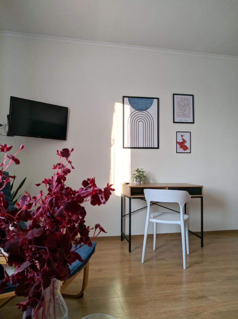 Best Apartment In The Center Mukacheve Ngoại thất bức ảnh